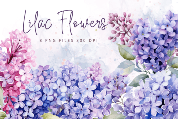 Watercolor Lilac Flowers Purple Floral Graphics and Illustrations